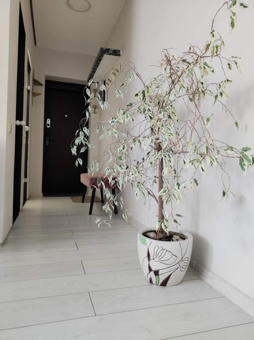 Apartamentai Miesto Centre Šiauliai Kültér fotó